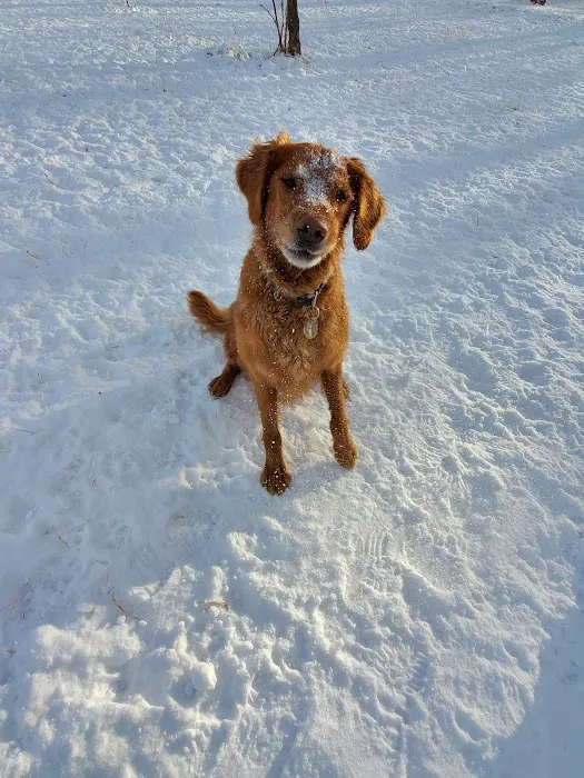 Oakdale Bark Park 2