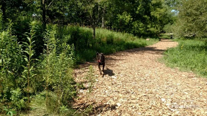 Oakdale Bark Park 3