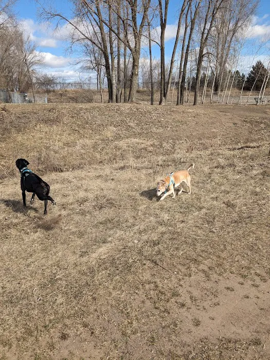 Elmo's Pup Park 8