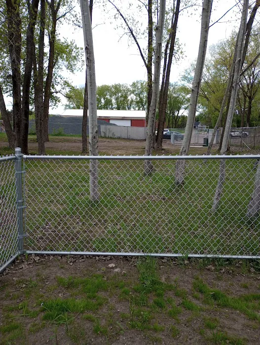 Elmo's Pup Park 5
