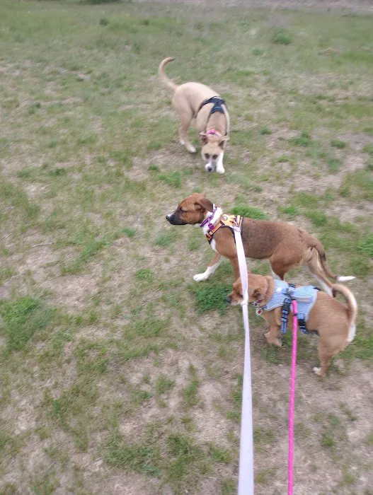 Elmo's Pup Park 2