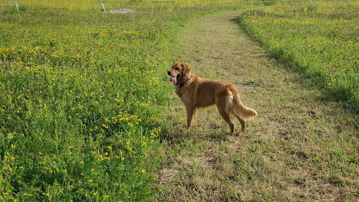 Heritage Village Park 6