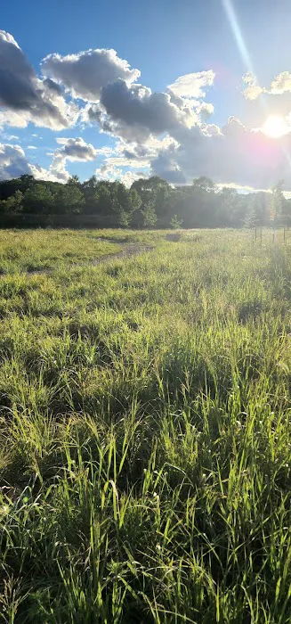 Heritage Village Park 9