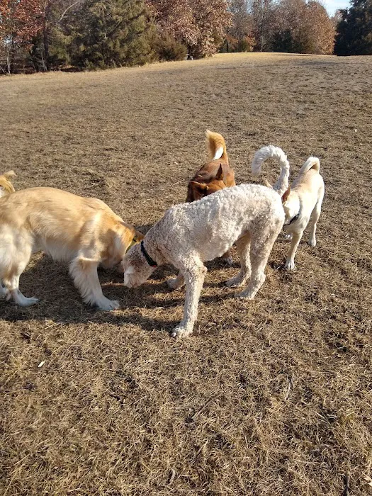 Southbridge Community Dog Park 2