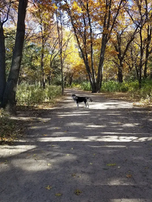 Southbridge Community Dog Park 8
