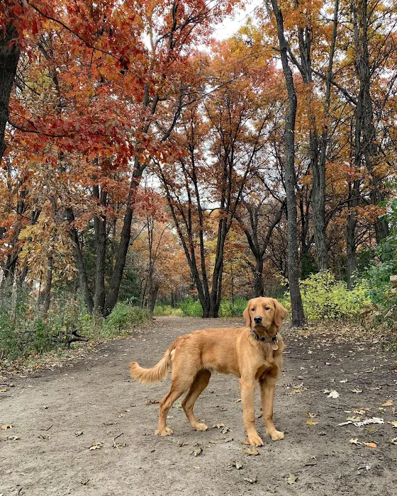 Southbridge Community Dog Park 9