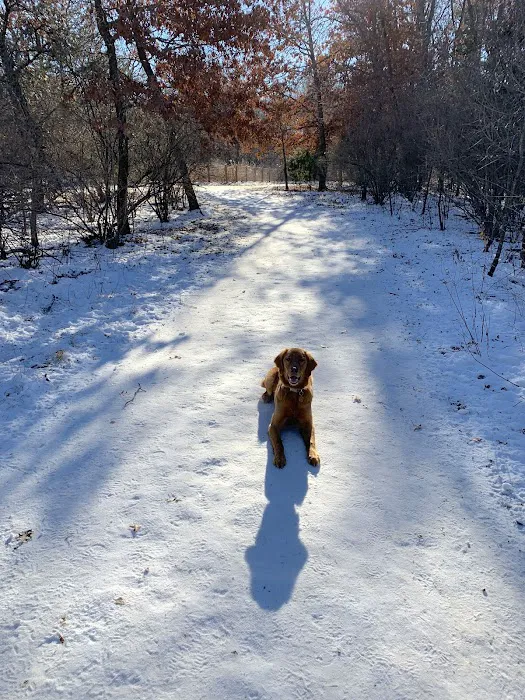 Southbridge Community Dog Park 4