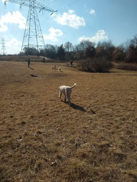 Southbridge Community Dog Park 3