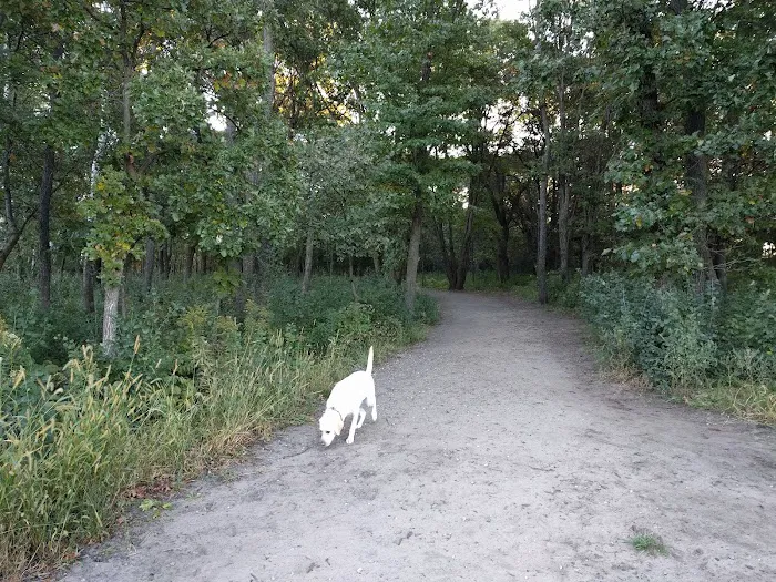 Southbridge Community Dog Park 7