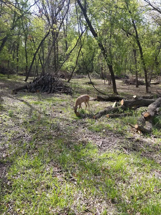 Alimagnet Dog Park 7