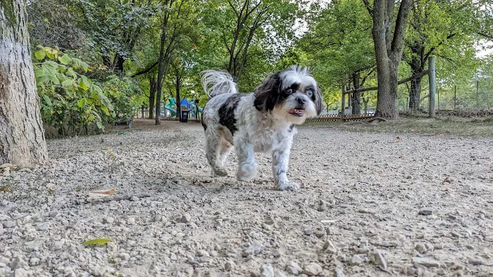 Alimagnet Dog Park 1