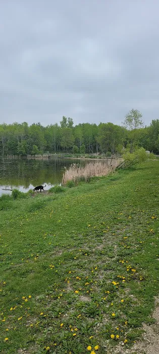 Alimagnet Dog Park 5