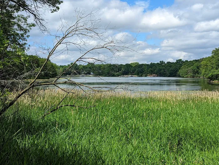 Alimagnet Dog Park 3