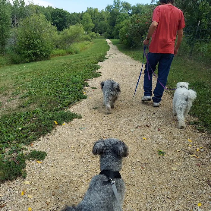 Alimagnet Dog Park 10