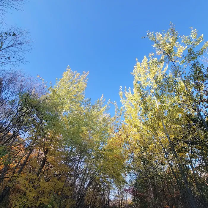 Spring Lake Dog Park 6