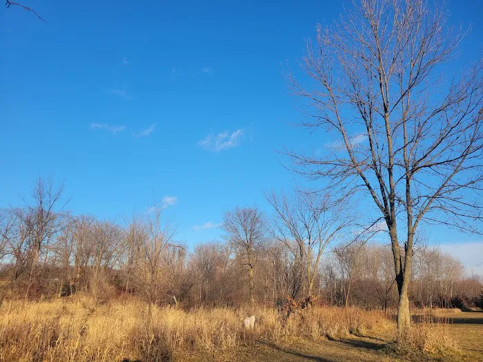 Spring Lake Dog Park 1