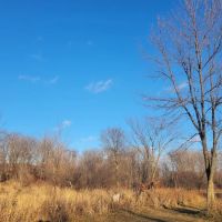 Spring Lake Dog Park ico