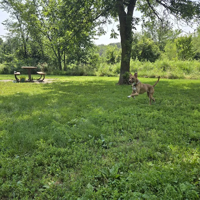 Spring Lake Dog Park 2