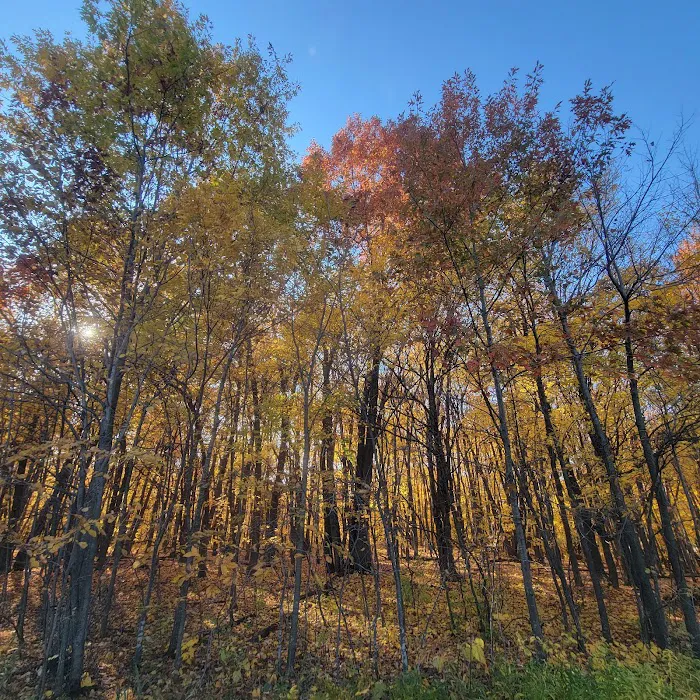 Spring Lake Dog Park 3