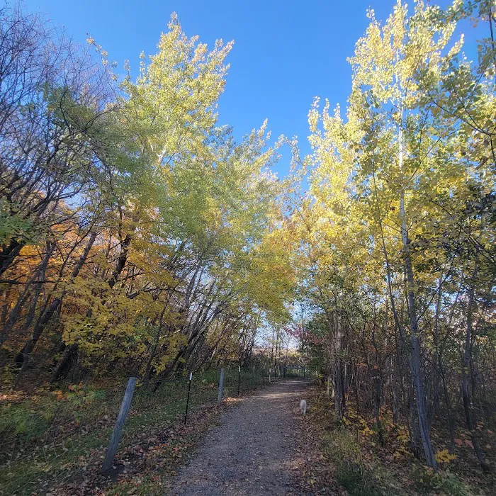Spring Lake Dog Park 5