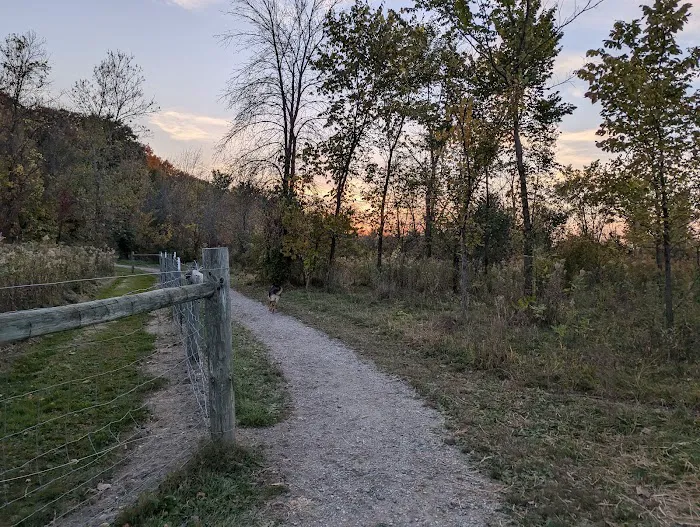 Spring Lake Dog Park 8