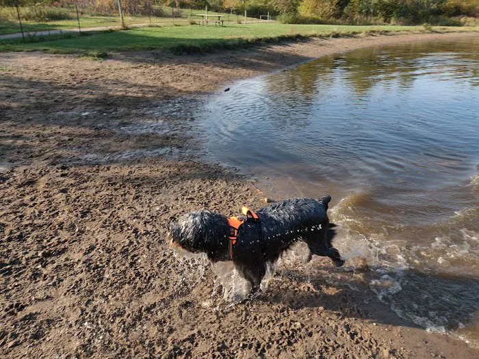 Cleary Lake Dog Park 2