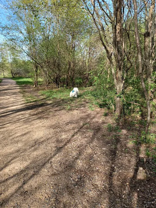Cleary Lake Dog Park 10