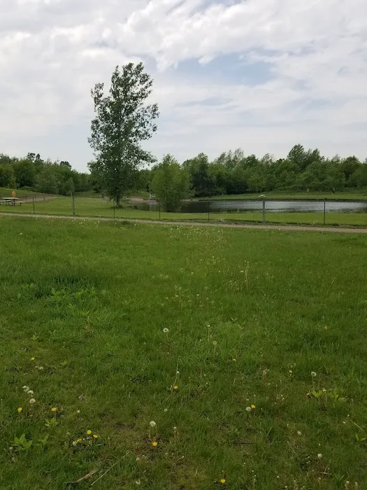 Cleary Lake Dog Park 7