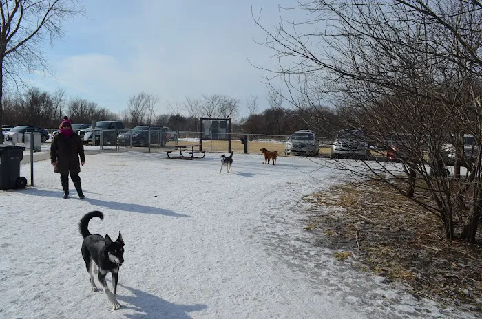 Cleary Lake Dog Park 6