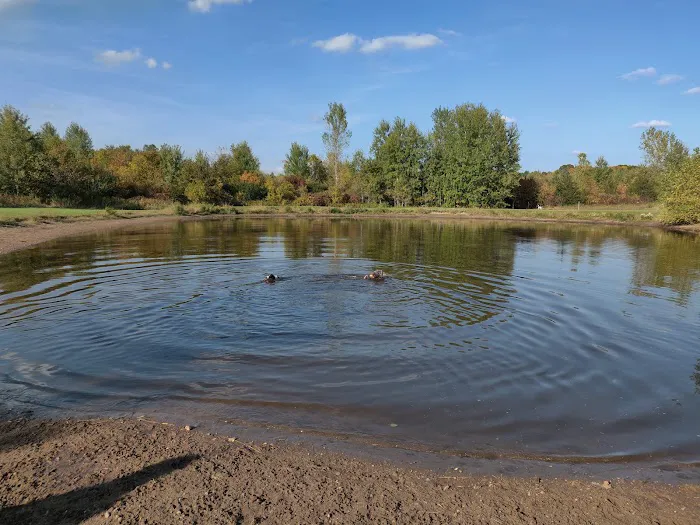 Cleary Lake Dog Park 4