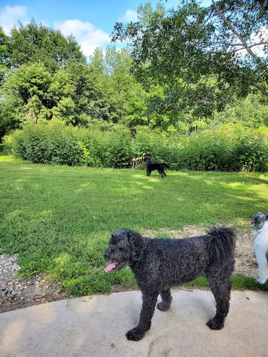 Cleary Lake Dog Park 3