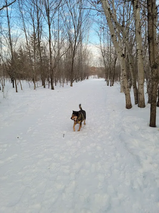 Cleary Lake Dog Park 1