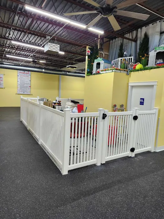 Anytime Puppy Playground 9
