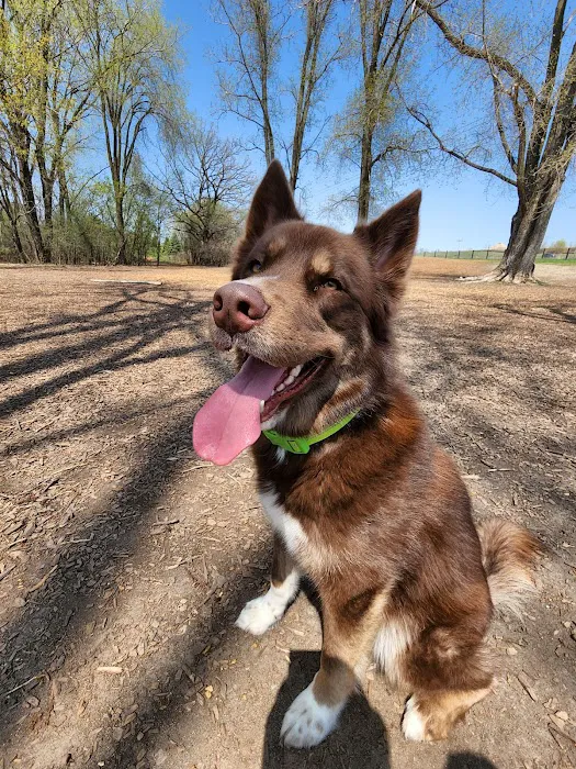 Ritter Farm Dog Park 9