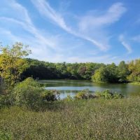 Ritter Farm Dog Park ico