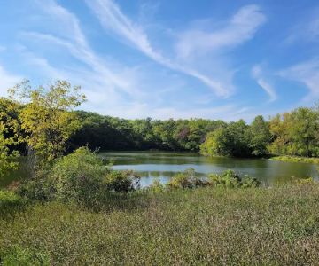 Ritter Farm Dog Park
