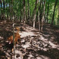 Susan E. Lurton Park ico