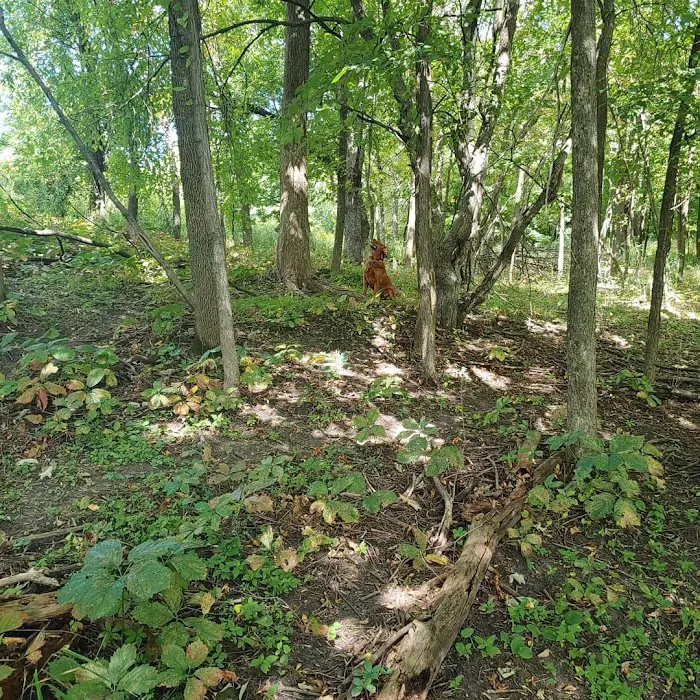 Susan E. Lurton Park 5