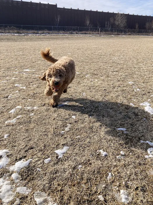 Lynch Dog Park 5
