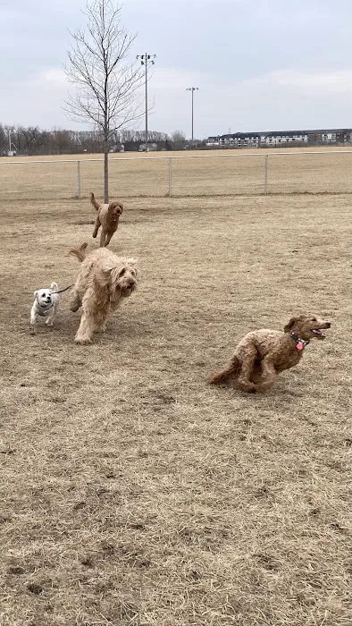 Lynch Dog Park 1