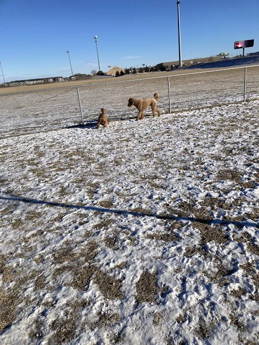 Lynch Dog Park 7