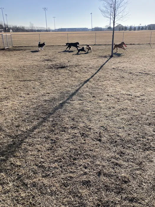 Lynch Dog Park 9