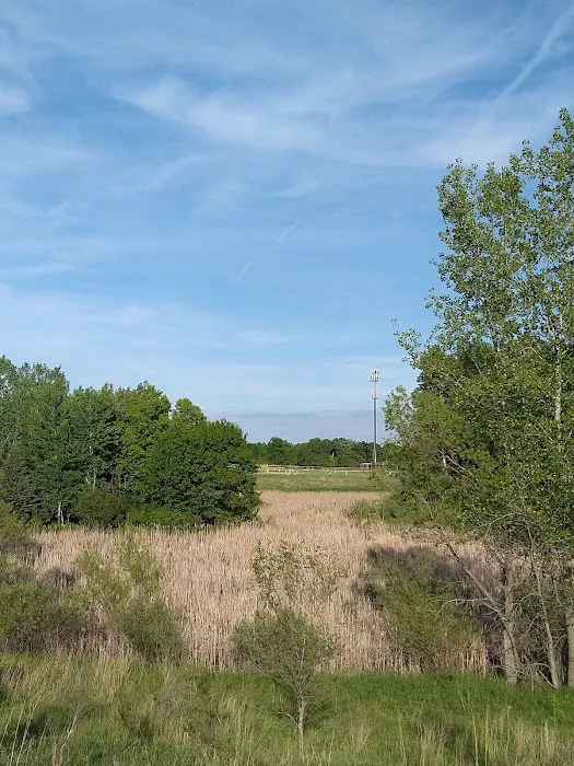 Alpine Dog Park 6