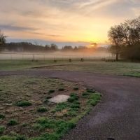 Alpine Dog Park ico