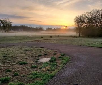 Alpine Dog Park