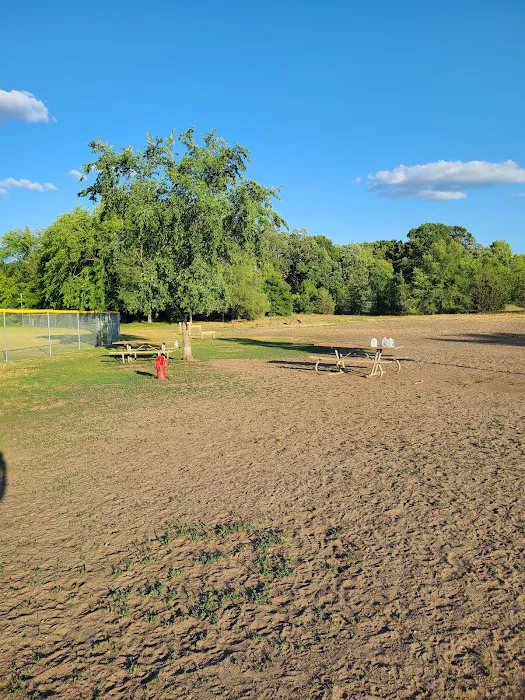 Alpine Dog Park 2