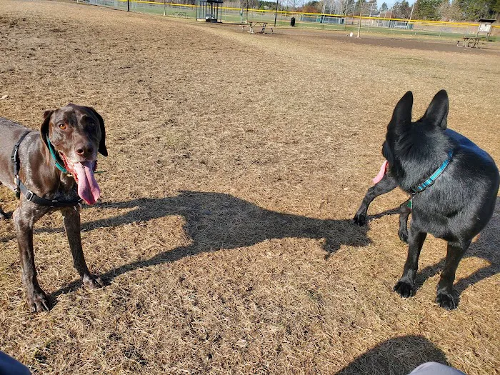 Alpine Dog Park 5
