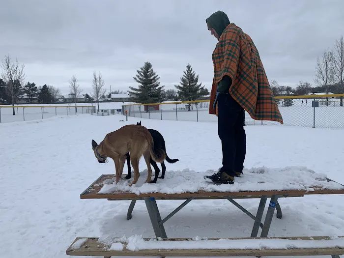 Alpine Dog Park 3