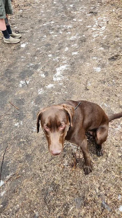 Crow Hassan Dog Park 7