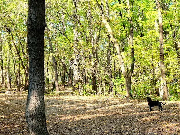 Crow Hassan Dog Park 9